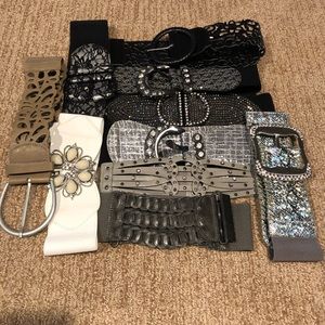 NWT daytrip belt